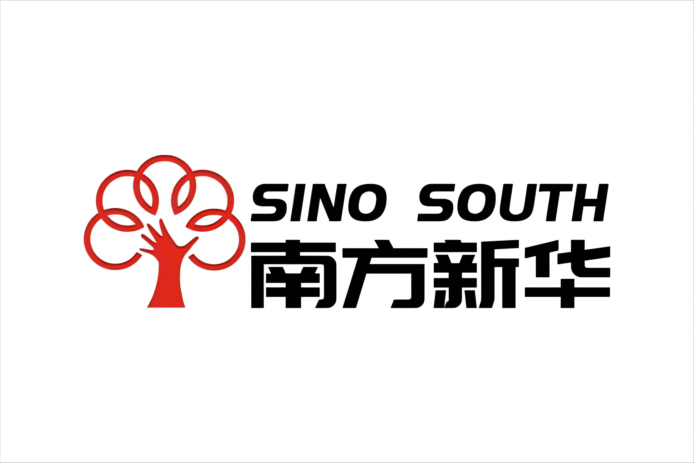 南方新华发展历程